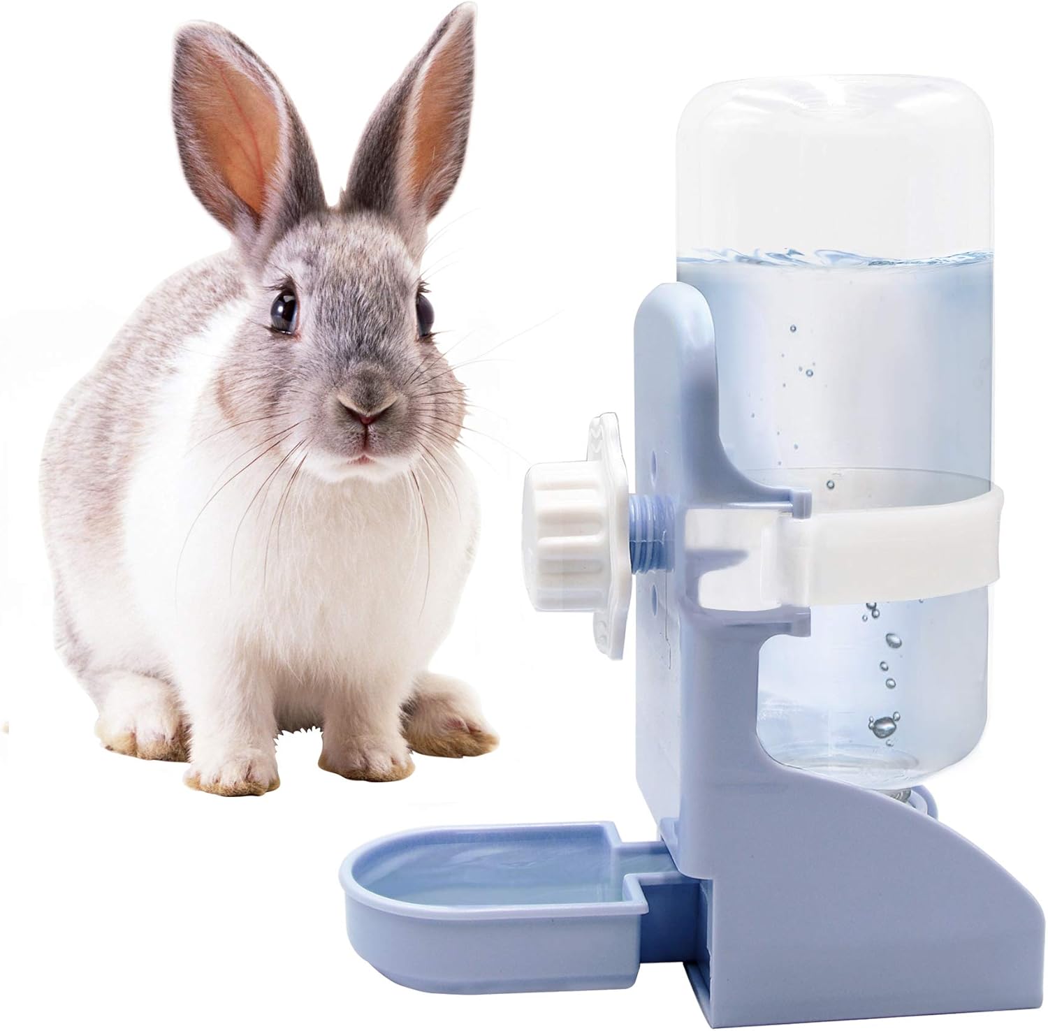 Guinea Pig Water Dispenser | lupon.gov.ph